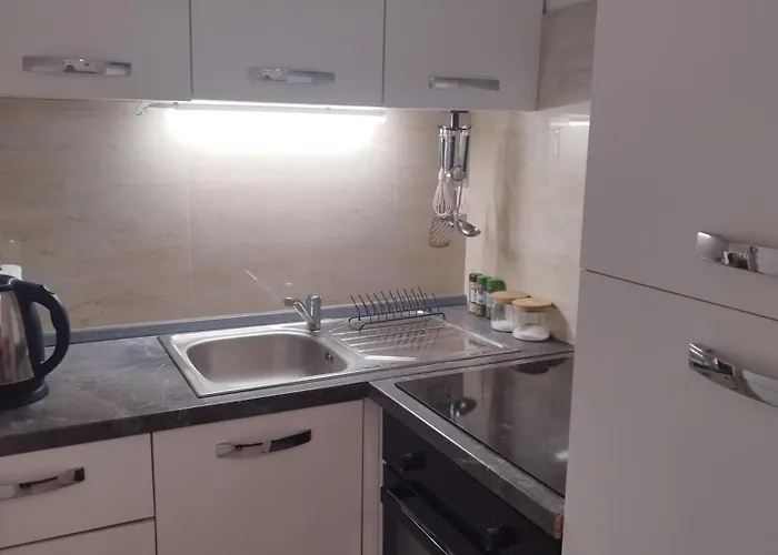 Apartma Ela 公寓 *